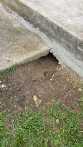 This is the hole they dug out. Fortunately it's only one hole, they didn't create underground condos like other groundhogs do.